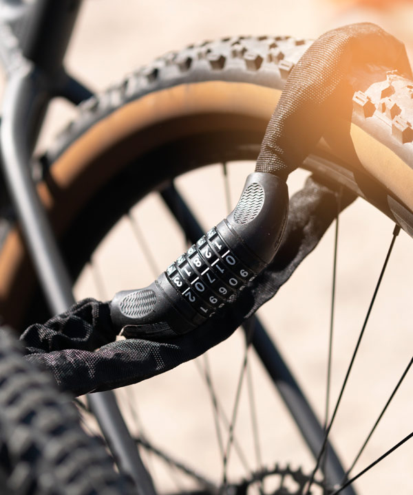velo-vignette lost and found 
